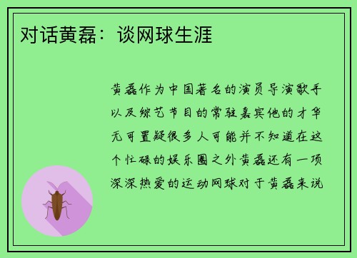 对话黄磊：谈网球生涯