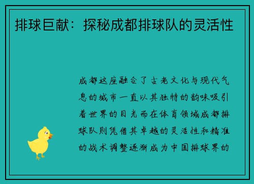 排球巨献：探秘成都排球队的灵活性